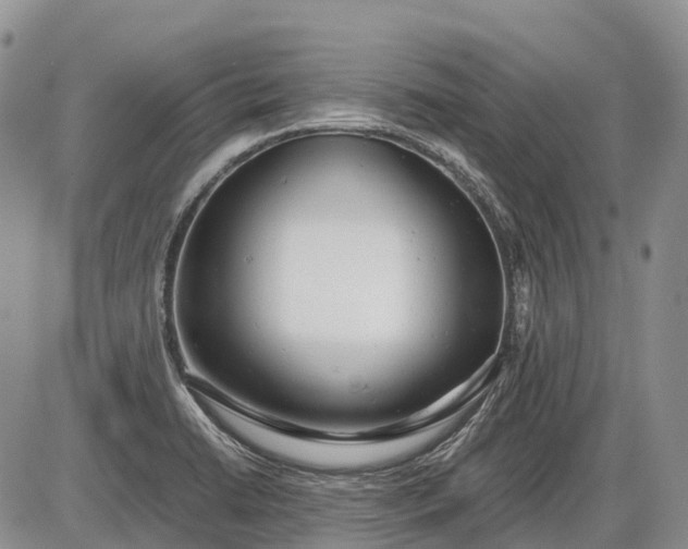 X0000085211422200703231455