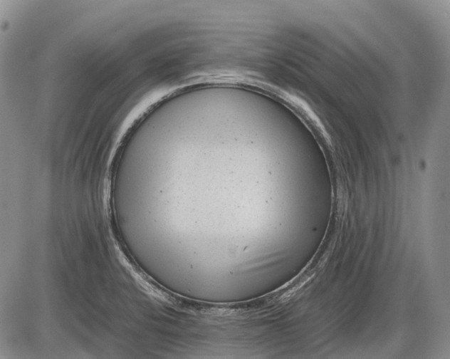 X0000085211424200703231455