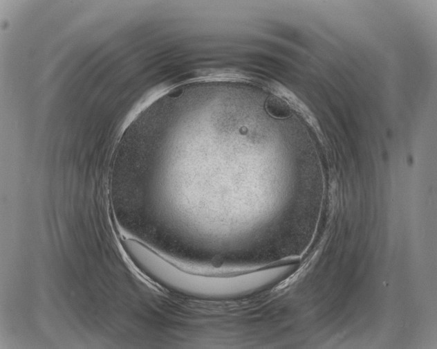 X0000085211425200703231455