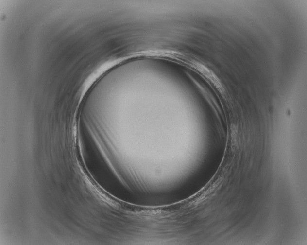 X0000085211428200703231455