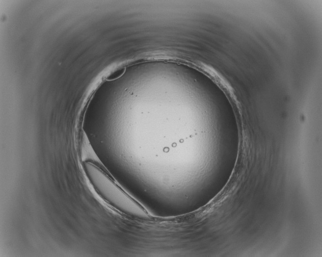 X0000085211429200703231455