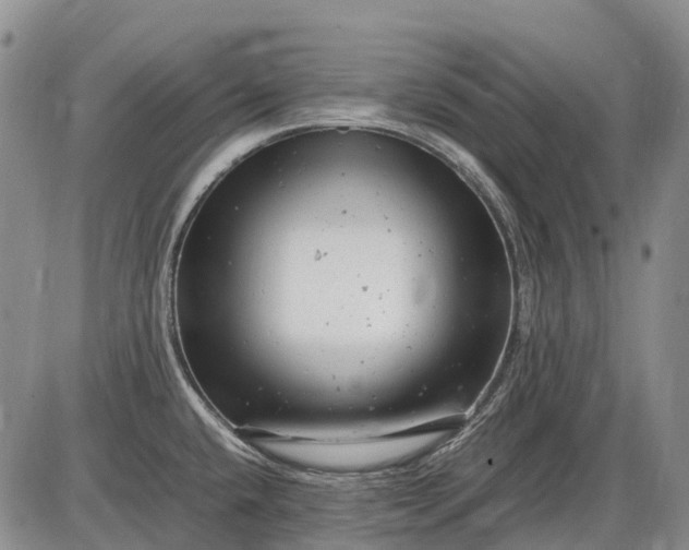 X0000085211432200703231455