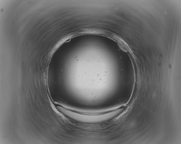 X0000085211433200703231455