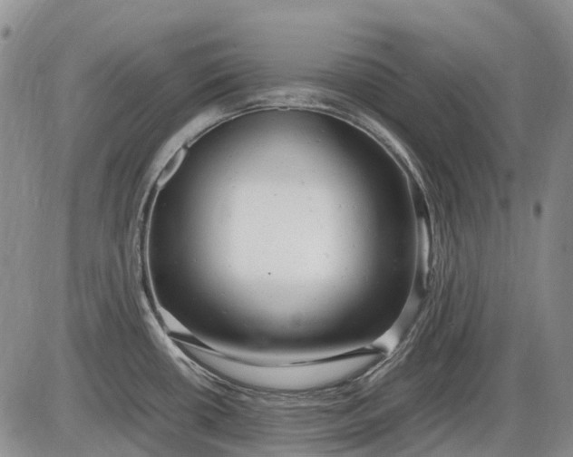 X0000085211434200703231455