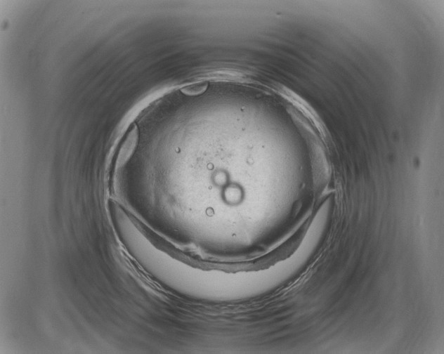 X0000085211435200703231455