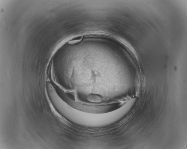 X0000085211439200703231456