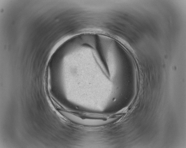 X0000085211440200703231456