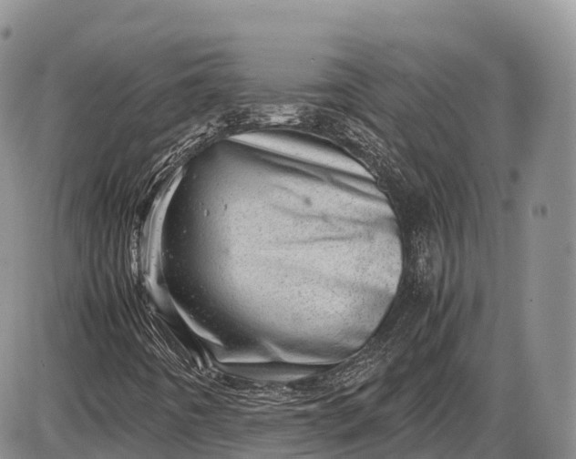 X0000085211442200703231455