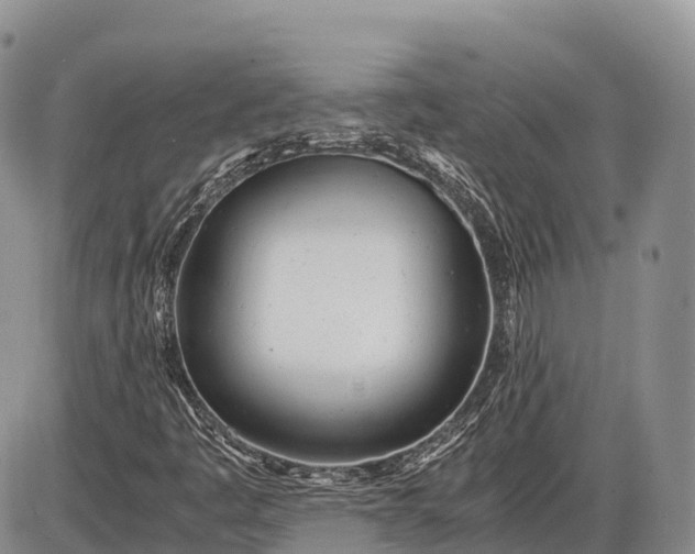 X0000085211445200703231455