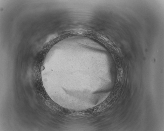 X0000085211446200703231455