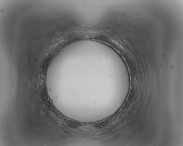 X0000085211447200703231455