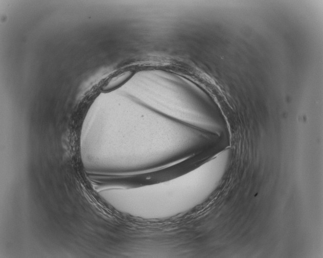 X0000085211448200703231455