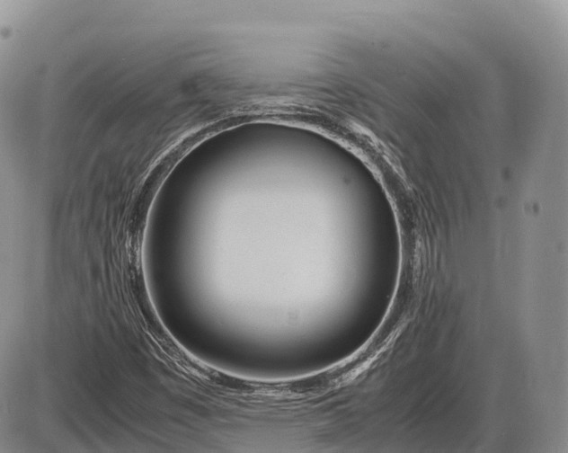 X0000085211449200703231455