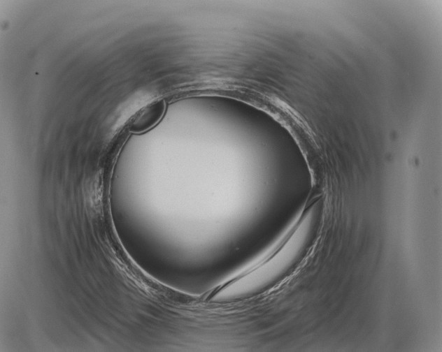 X0000085211450200703231455