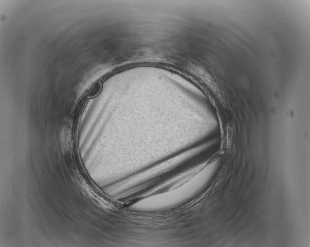 X0000085211452200703231455