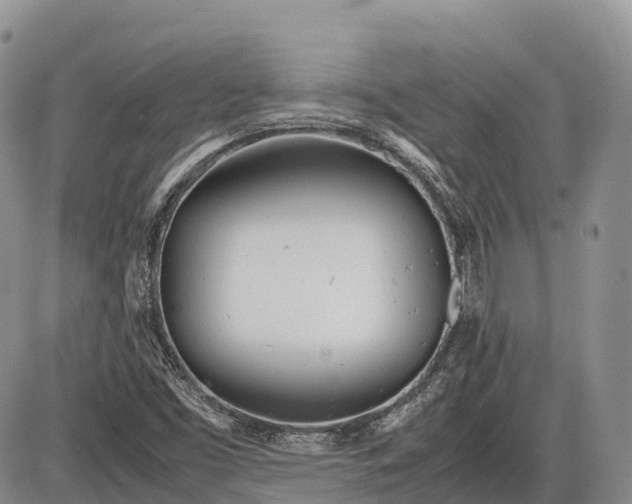 X0000085211453200703231455