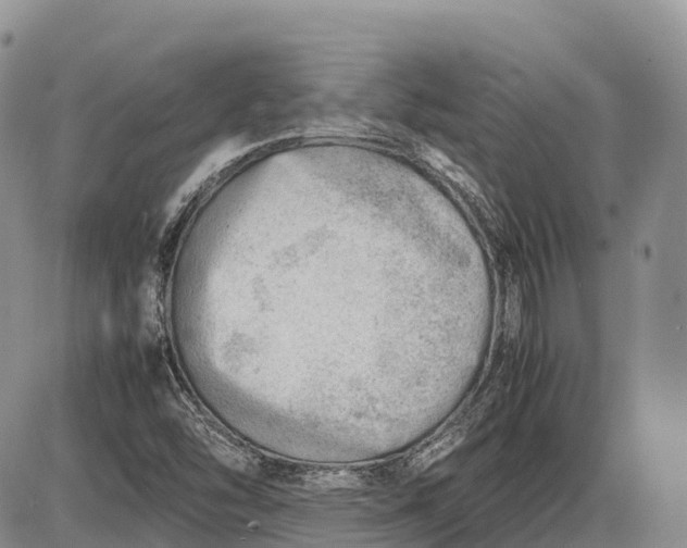 X0000085211454200703231455