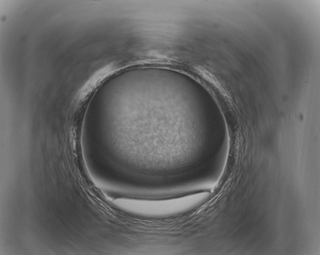 X0000085211455200703231455