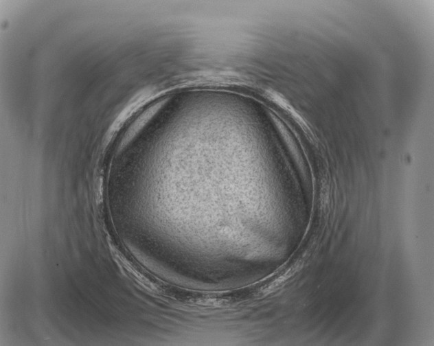 X0000085211459200703231454