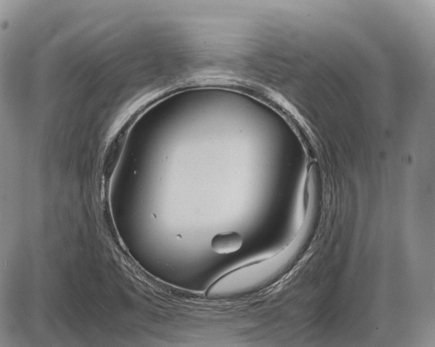 X0000085211461200703231454