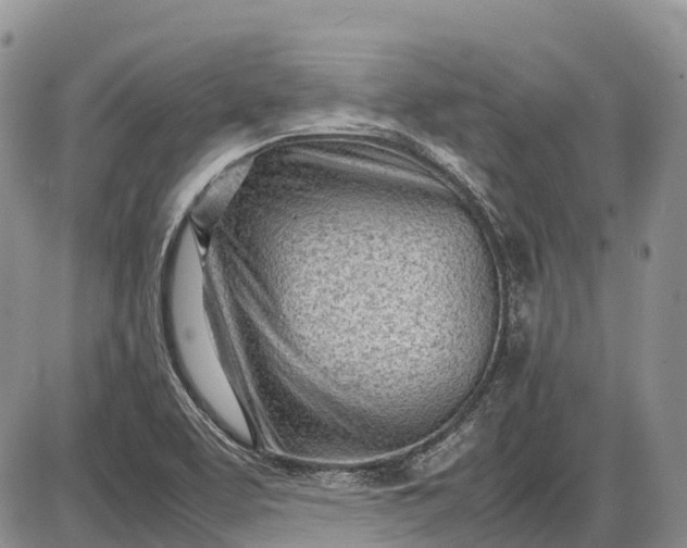 X0000085211463200703231454