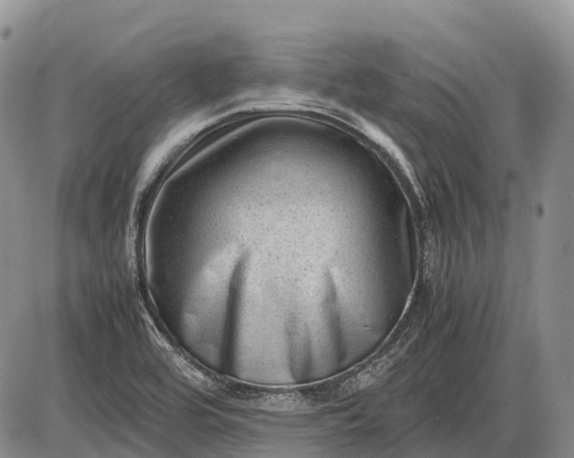 X0000085211464200703231454