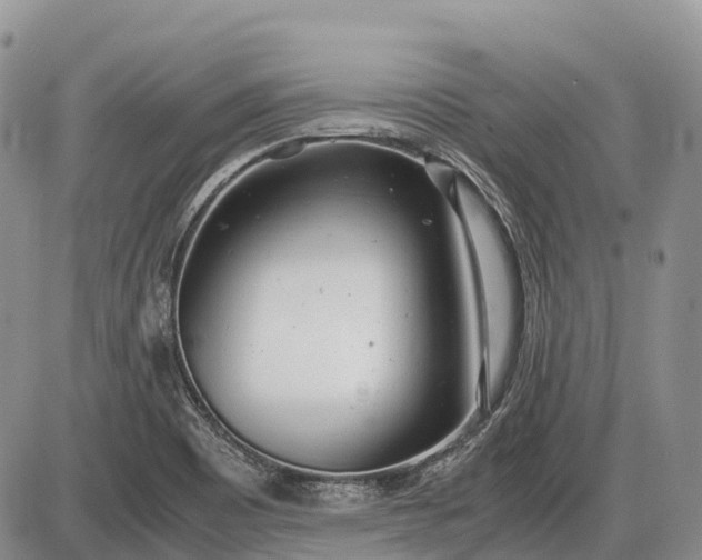 X0000085211465200703231454