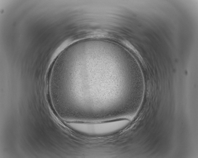 X0000085211467200703231454