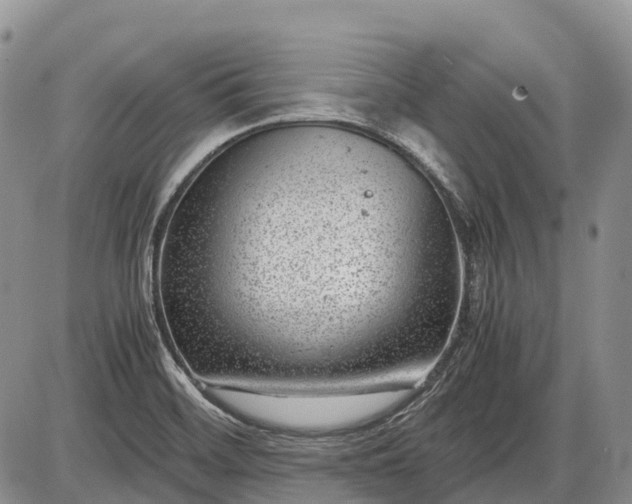 X0000085211468200703231454