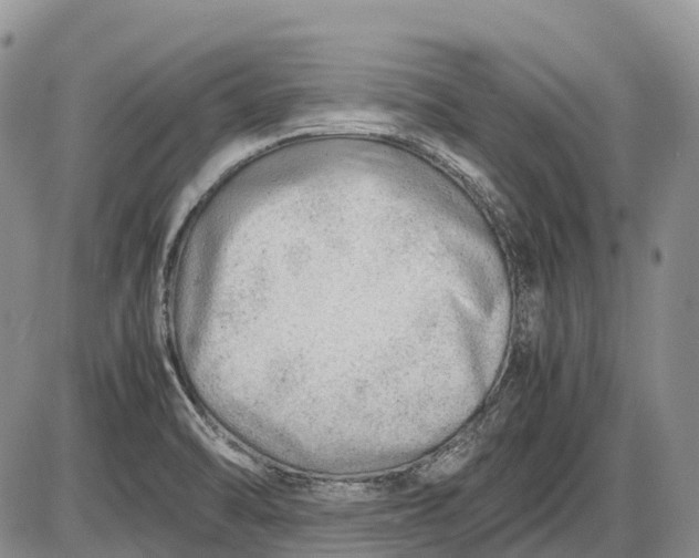 X0000085211470200703231454