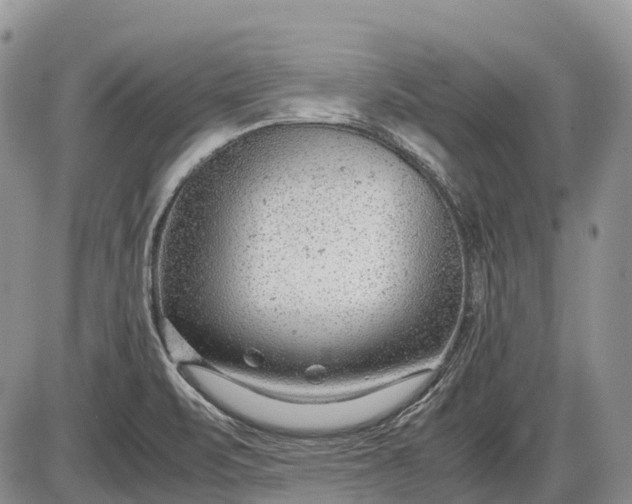 X0000085211471200703231454