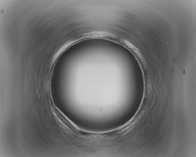 X0000085211473200703231454