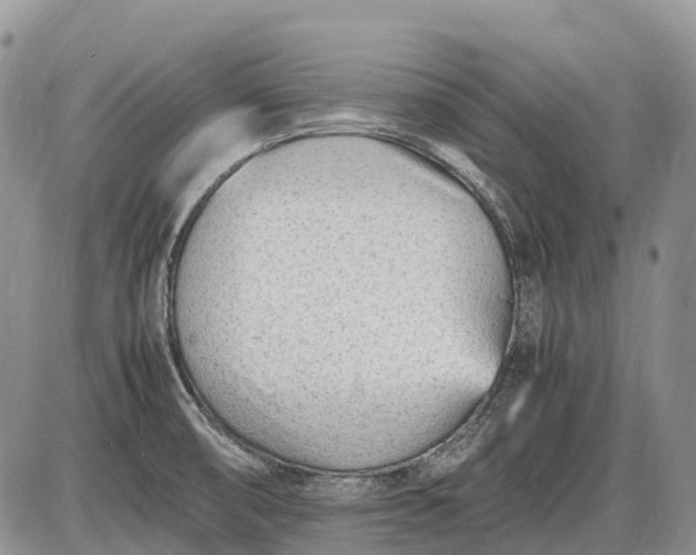 X0000085211474200703231454