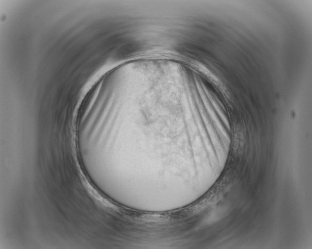 X0000085211478200703231454