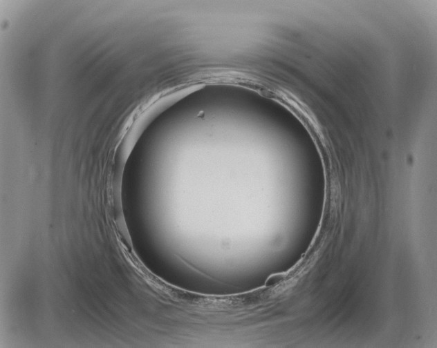 X0000085211481200703231454