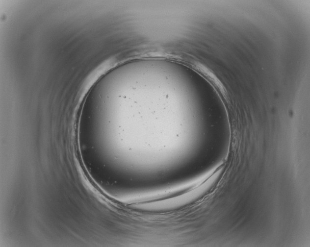 X0000085211483200703231454