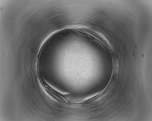 X0000085211484200703231454