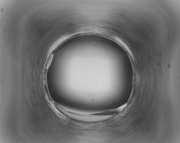 X0000085211485200703231454