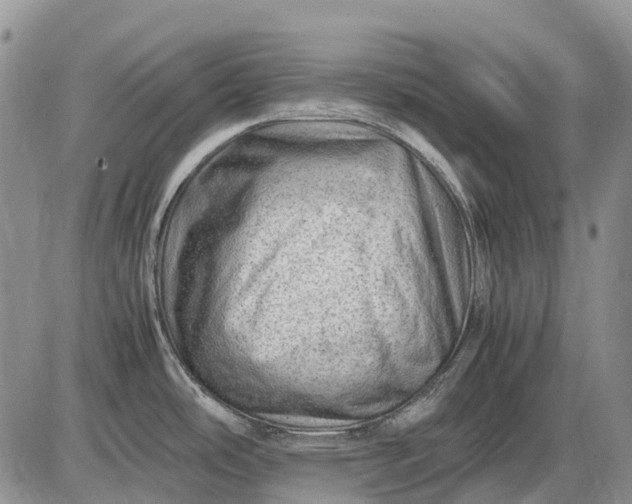 X0000085211486200703231454