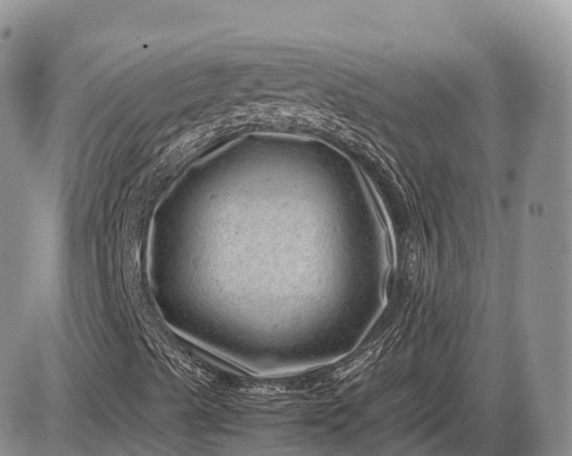 X0000085211489200703231453