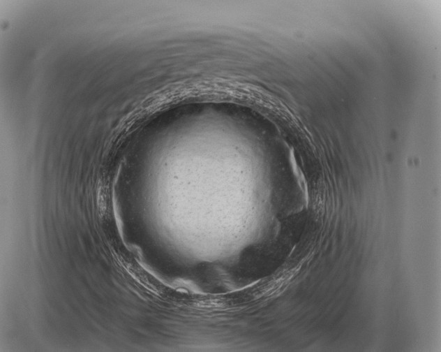 X0000085211490200703231453