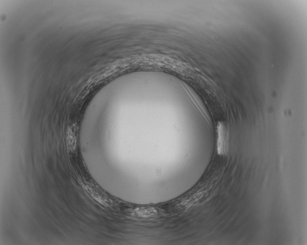 X0000085211491200703231453