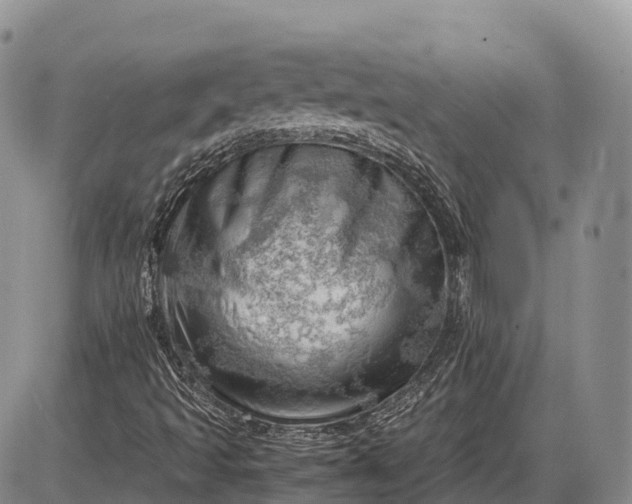 X0000085211493200703231453