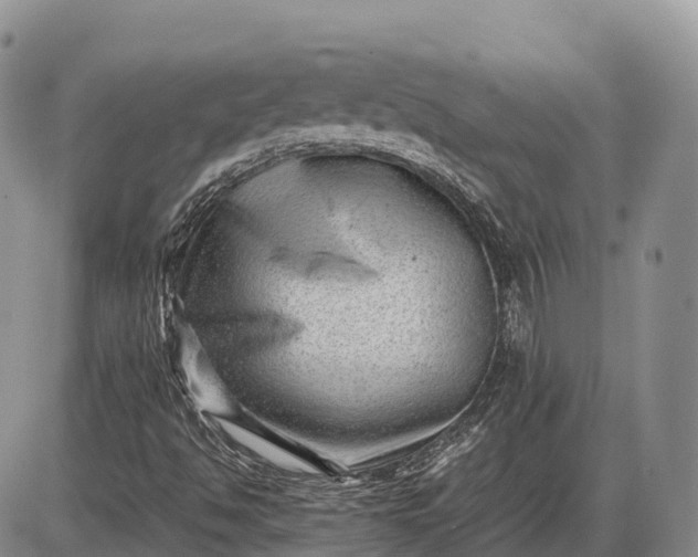 X0000085211494200703231453