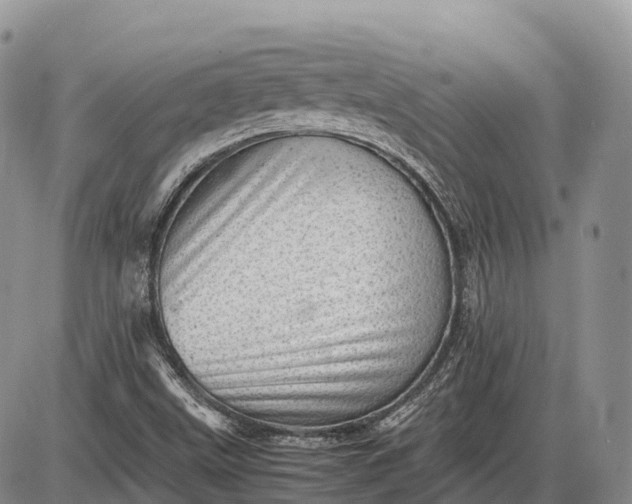 X0000085211499200703231453