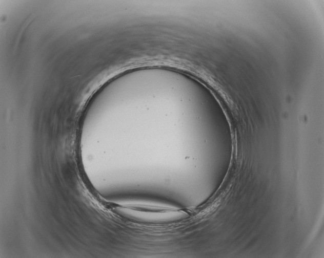 X0000085211500200703231453