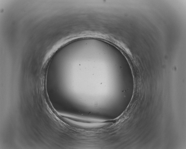 X0000085211504200703231453