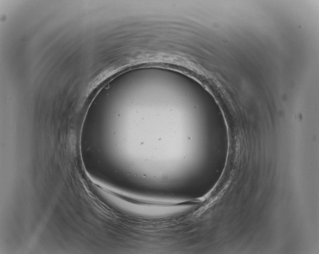 X0000085211505200703231453