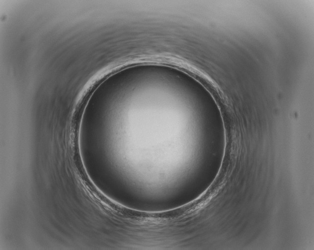 X0000085211506200703231453