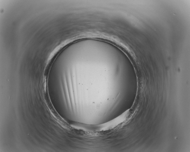 X0000085211509200703231454